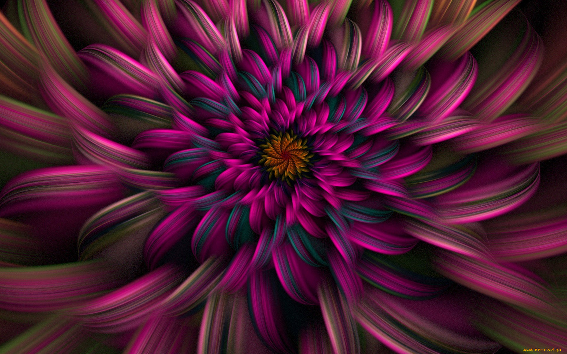 3 ,  , flowers, , , 